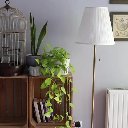 Klimatyczna Kawalerka Z Dużą Ilością Kwiatów Apartament Wrocław