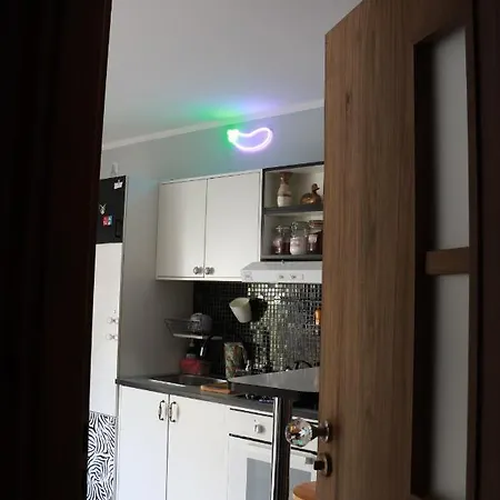 Klimatyczna Kawalerka Z Duza Iloscia Kwiatow Apartment
