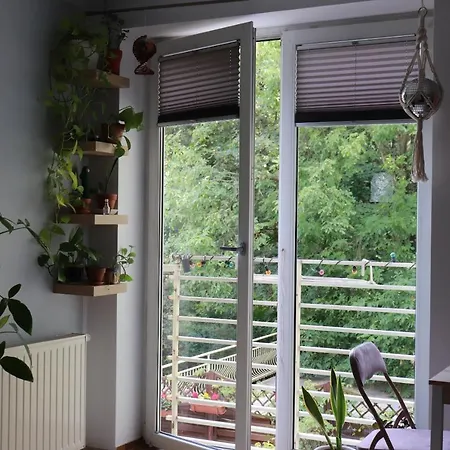 Klimatyczna Kawalerka Z Duza Iloscia Kwiatow