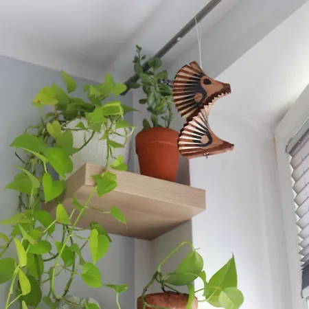 Apartment Klimatyczna Kawalerka Z Duza Iloscia Kwiatow Wroclaw
