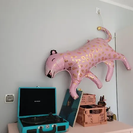 Klimatyczna Kawalerka Z Duza Iloscia Kwiatow Apartment *